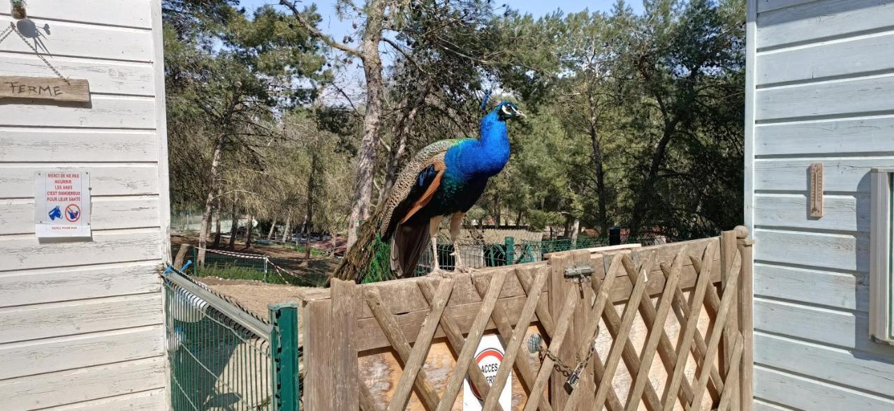 Charmant T2 Climatise Avec Belle Vue , Golf De Pont-Royal Mallemort Εξωτερικό φωτογραφία