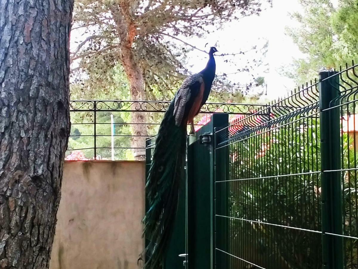 Charmant T2 Climatise Avec Belle Vue , Golf De Pont-Royal Mallemort Εξωτερικό φωτογραφία
