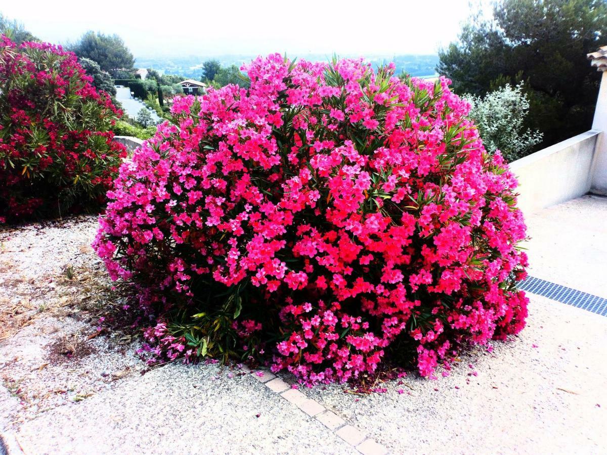 Charmant T2 Climatise Avec Belle Vue , Golf De Pont-Royal Mallemort Εξωτερικό φωτογραφία